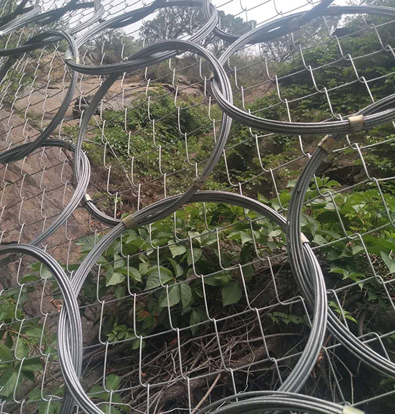 環形網