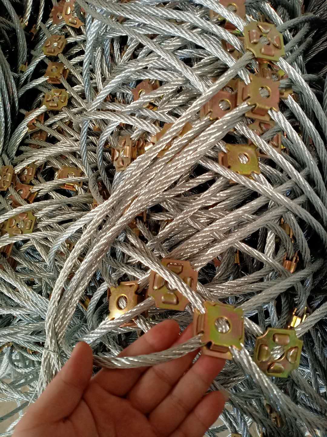 蜘蛛網